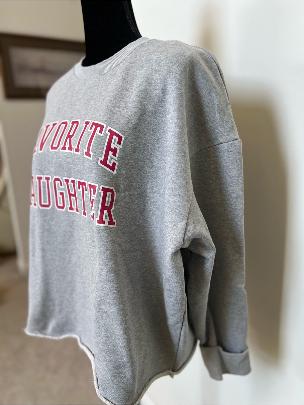 Favorite Daughter Gray Crewneck with Pink  Logo - Picture 4 of 6